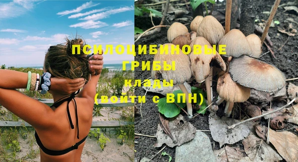 spice Лиски