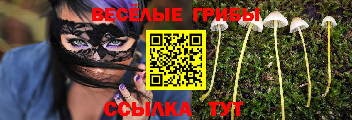 Бирск  Псилоцибиновые грибы мухоморы  Вход с VPN 
